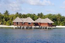горящий тур на Мальдивы BANDOS ISLAND RESORT 5 